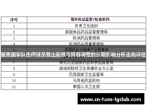 聚焦国家队伤停球员复出前景与阵容调整的长期影响分析走向评估